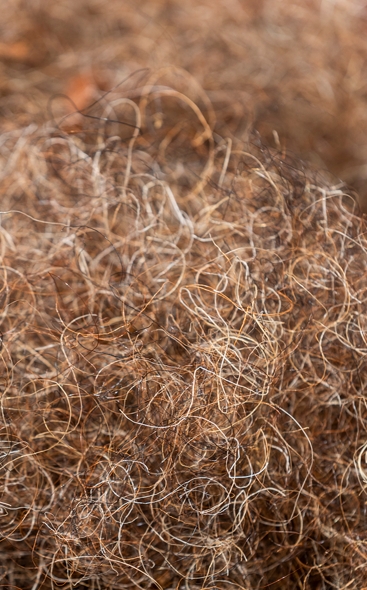 Horsehair