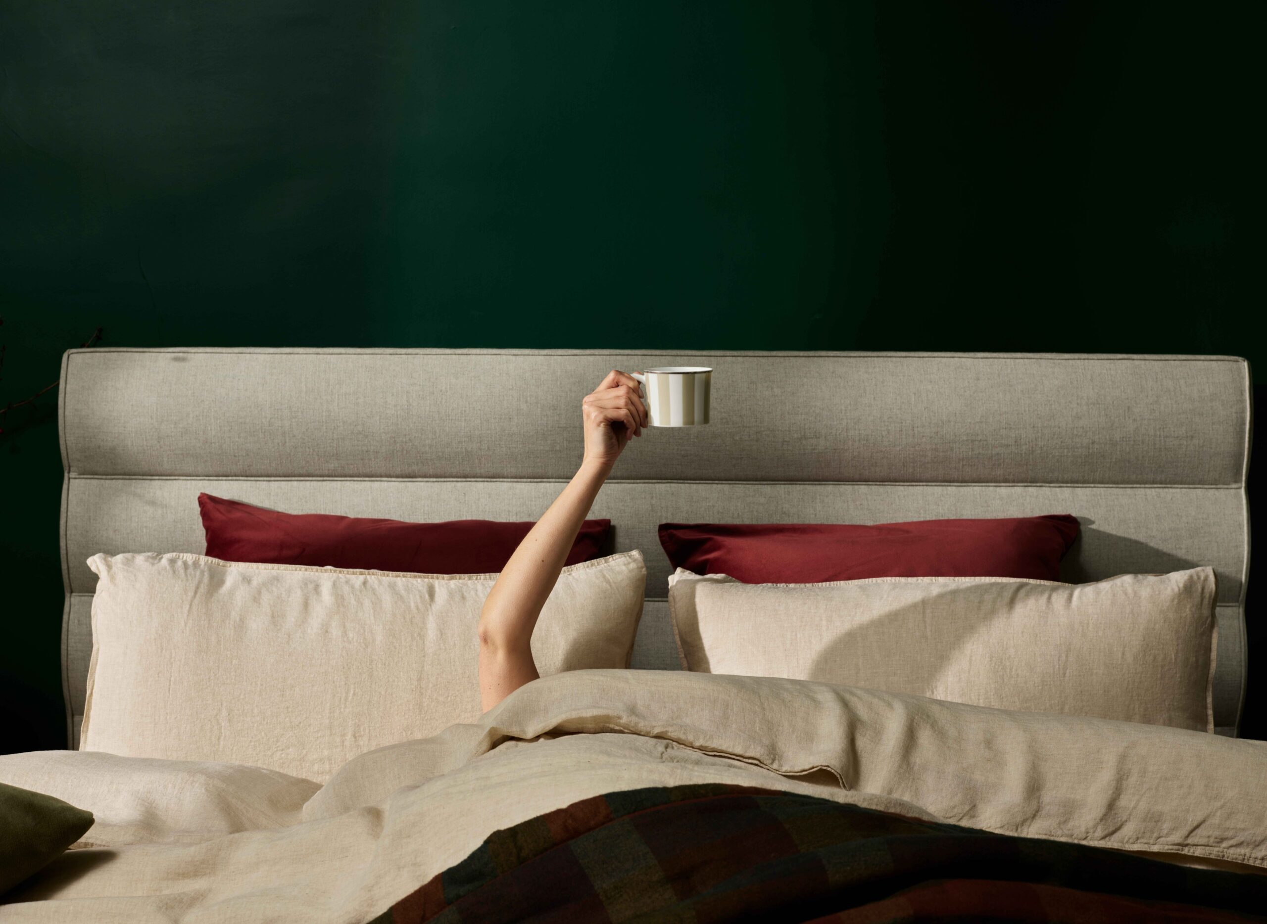 Comfort Crafted by Nature