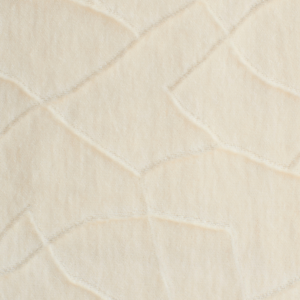 fabric image