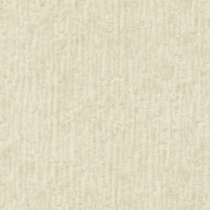 fabric image