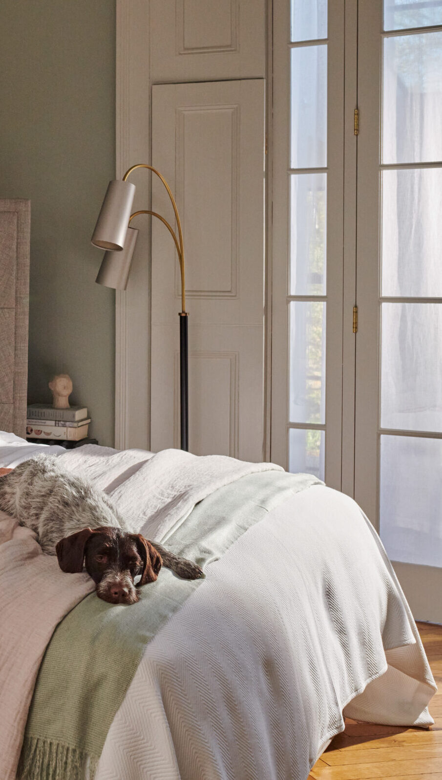 Vibrant Accents and Bold Patterns