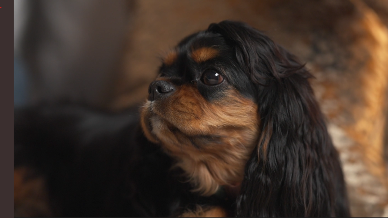 “If there are bright colours, you pivot, you leave”