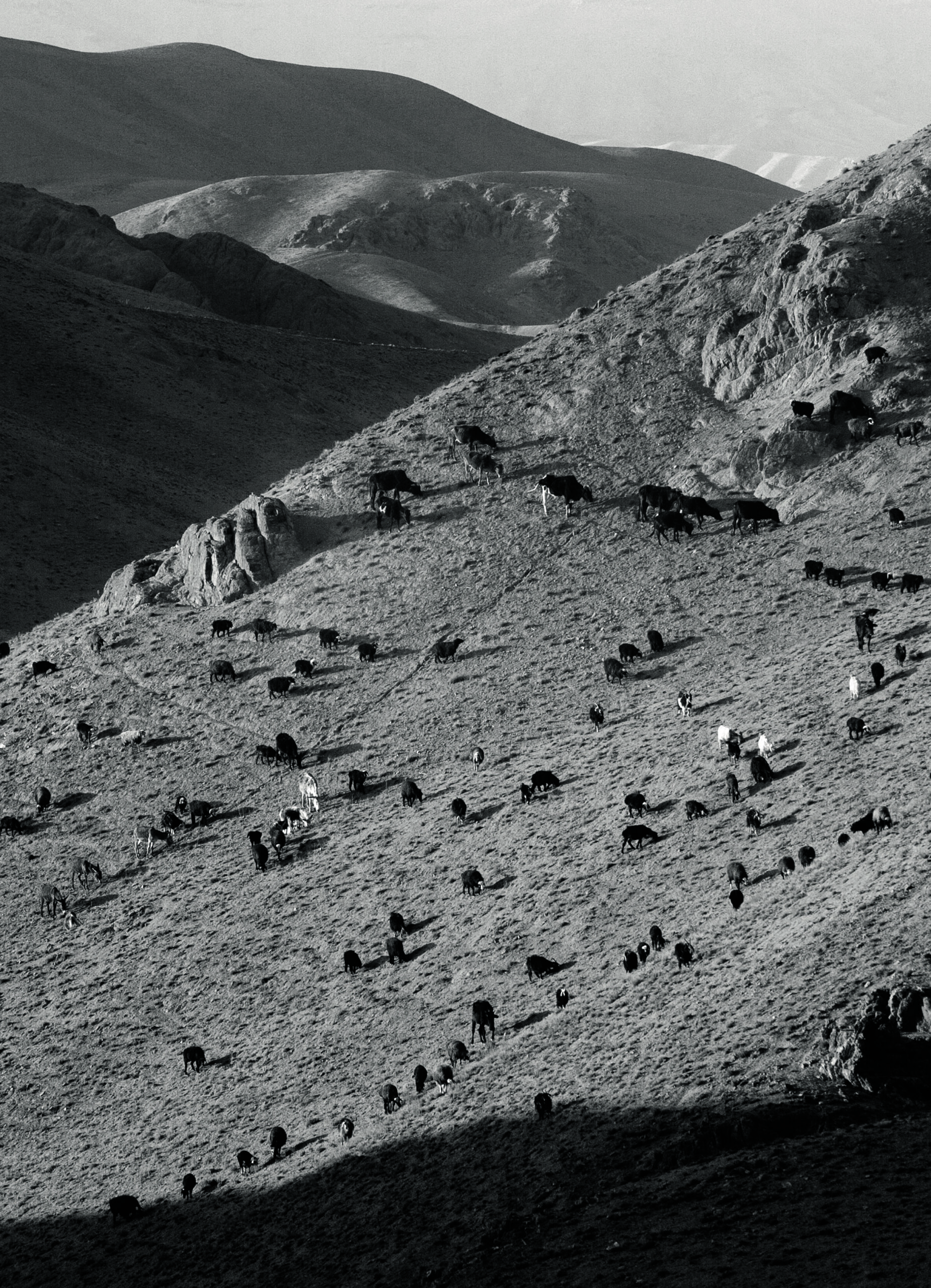 Environmental Responsibility