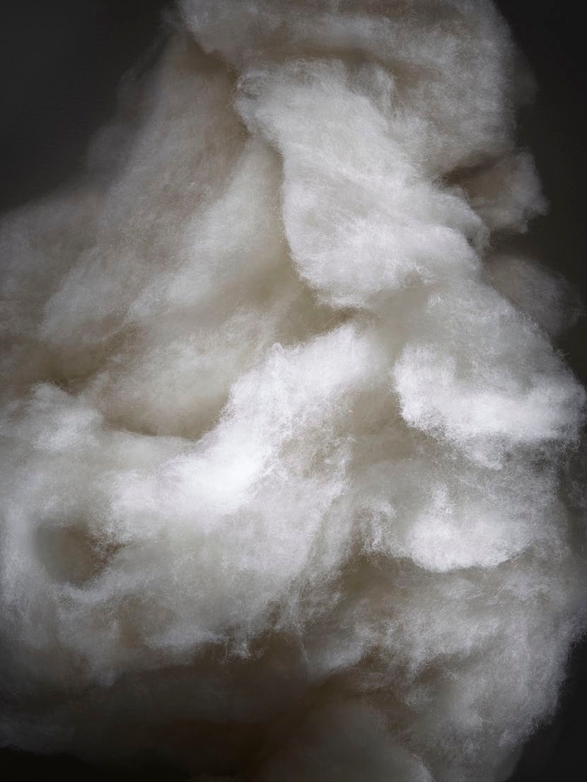 Naturally Exceptional