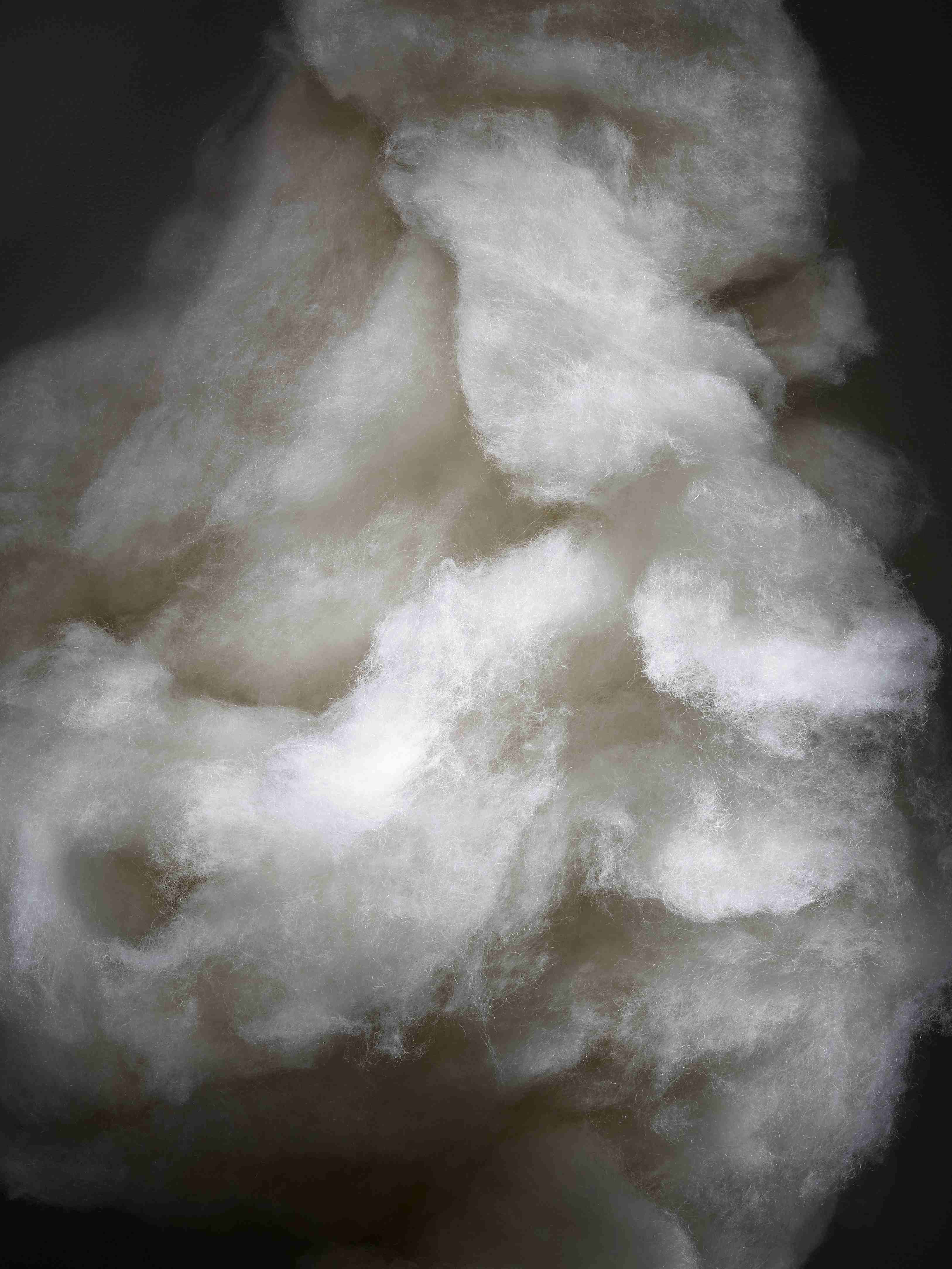 Cashmere