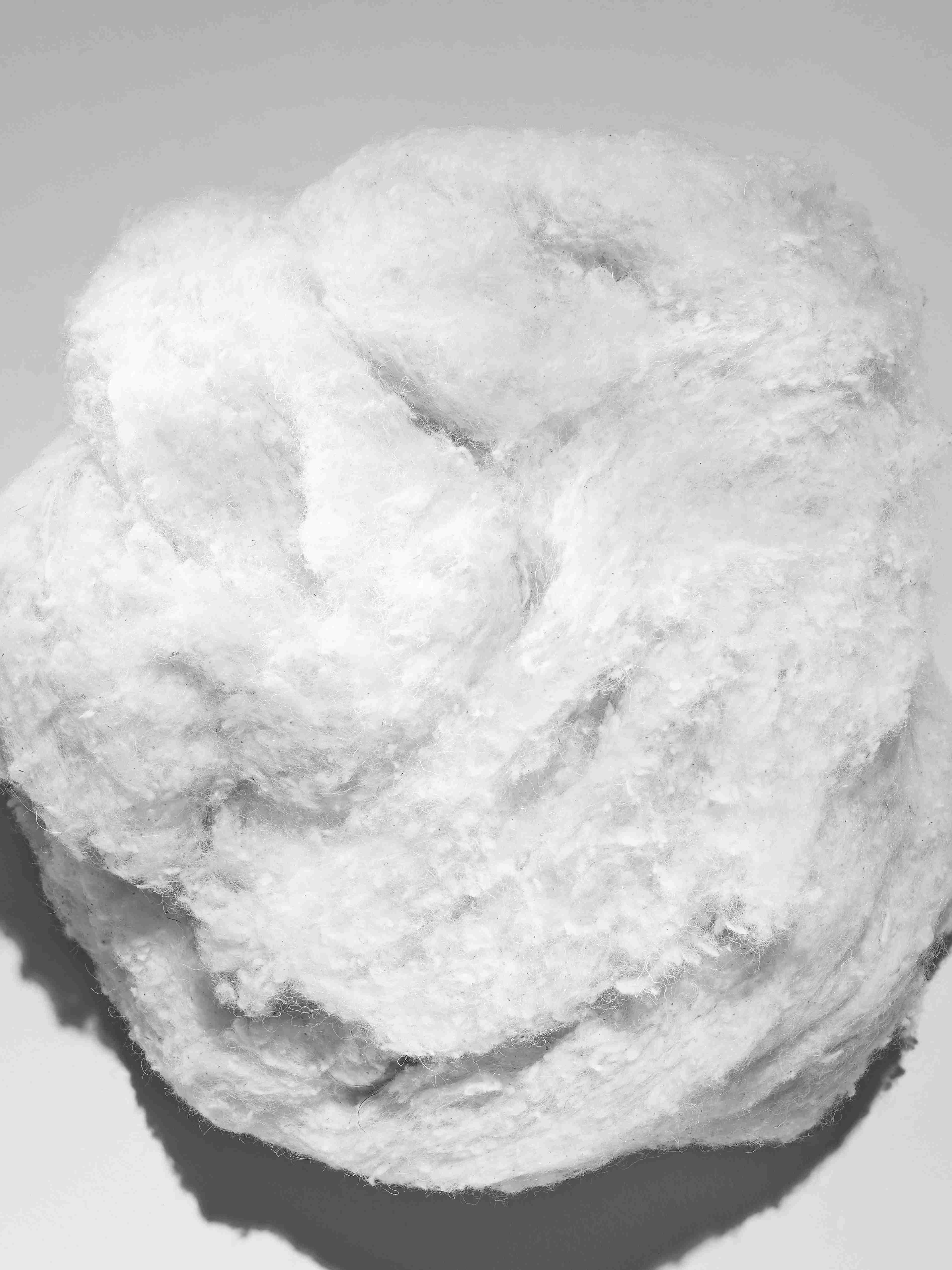 Cotton