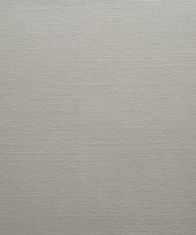 CANVAS- Clay-2030