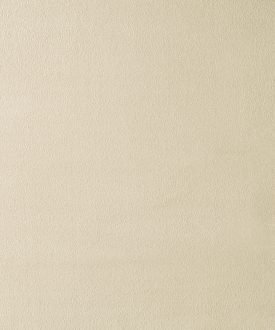 FAUX SUEDE- Champagne-409