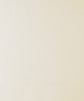 PLAIN SATIN- Ivory-552